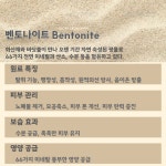 큐사랑 석관점