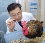 고려종합동물병원