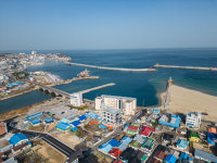 더민박