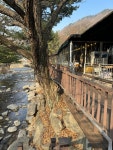 솥뚜껑닭볶음탕 가평본점