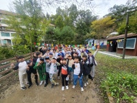 라이온태권스쿨