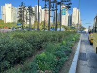 부자조경개발