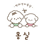 몽실 반려견미용실