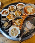 마라도회조개구이