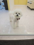 베르펫살롱