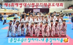 고려강호태권도