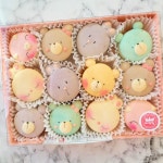 머랭퀸 수제마카롱&커피