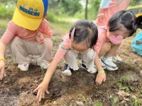 창의숲어린이집