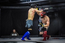팀카운터 MMA.합기도.킥복싱