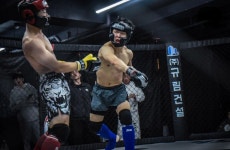 팀카운터 MMA.합기도.킥복싱