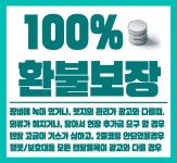 웰리힐리파크 렌탈샵 드림월드프로샵