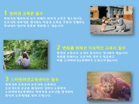 스타반려견교육센터
