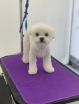 오늘도 예쁘개