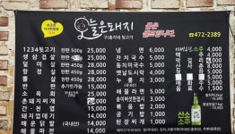 오늘은 돼지