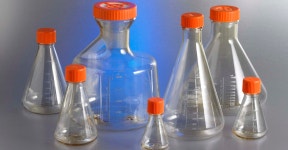 대일바이오사이언스