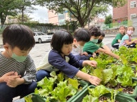 수정유치원