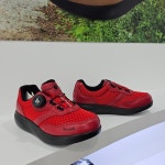 슈올즈 원주무실점