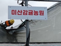 미산감귤농원