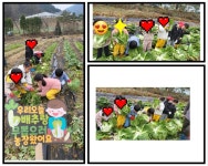 아이큰숲어린이집