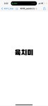 육치미