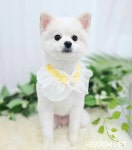 헤아림펫