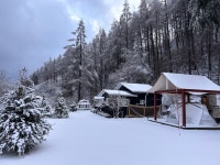 스탈릿캠핑펜션