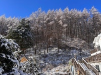 스탈릿캠핑펜션