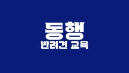 동행반려견교육