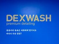 덱스워시 포항이동점
