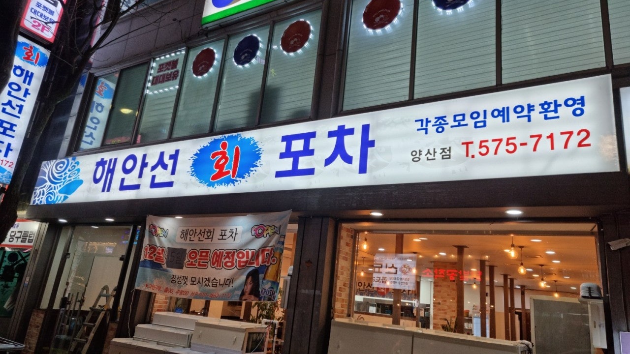 해안선회포차