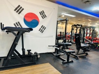 지니핏 PT