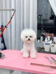 미넨떼
