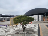 드림조경
