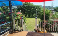 자연산송이버섯&풀빌라