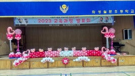 모멘토펠리스
