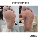 비비배배