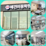 에스에이치애견미용학원