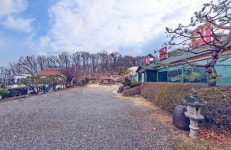 동구박