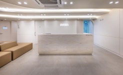 인트로성형외과의원