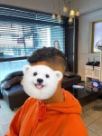 준헤어스토리