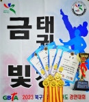 금빛태권도