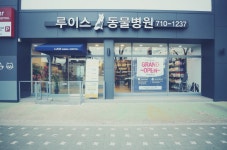 루이스 24시 동물병원