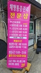 약손체형관리