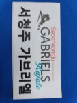 서청주가브리엘빌리아드클럽