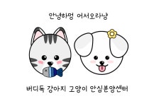 버디독 강아지분양 고양이분양 안심분양센터 인천점