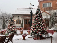 로즈스텔라정원