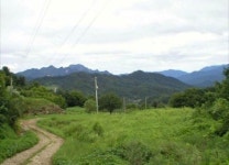 서리산농장
