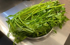 돼지로92번길 대전본점