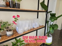 프리미엄 아이 반찬 맘가득찬