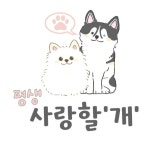 평생 사랑할 개